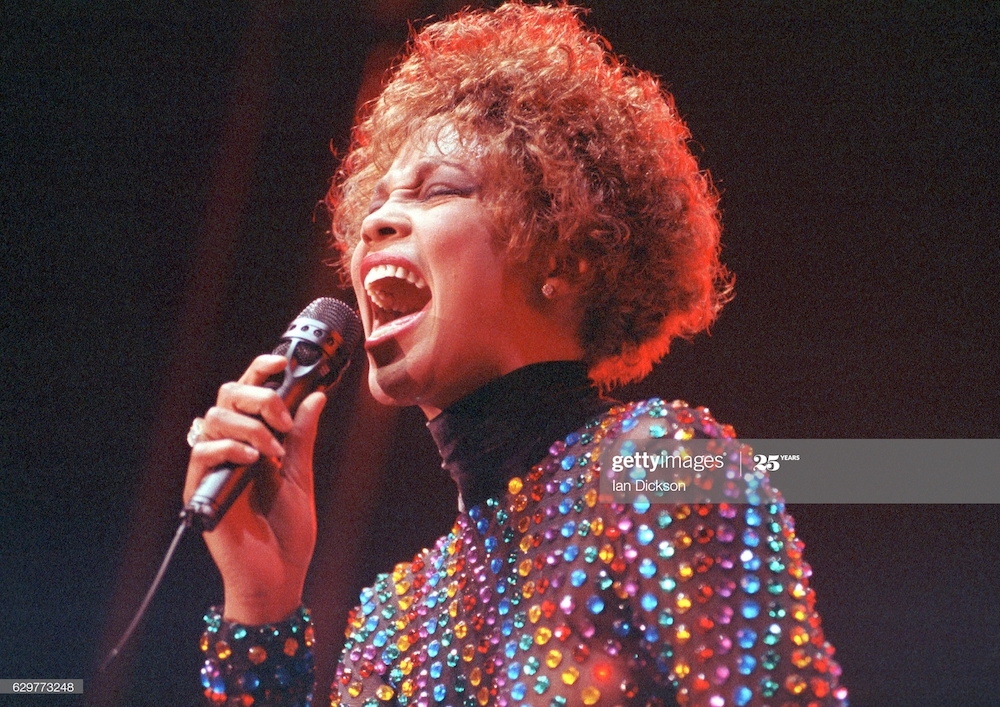 Whitney Houston 1991